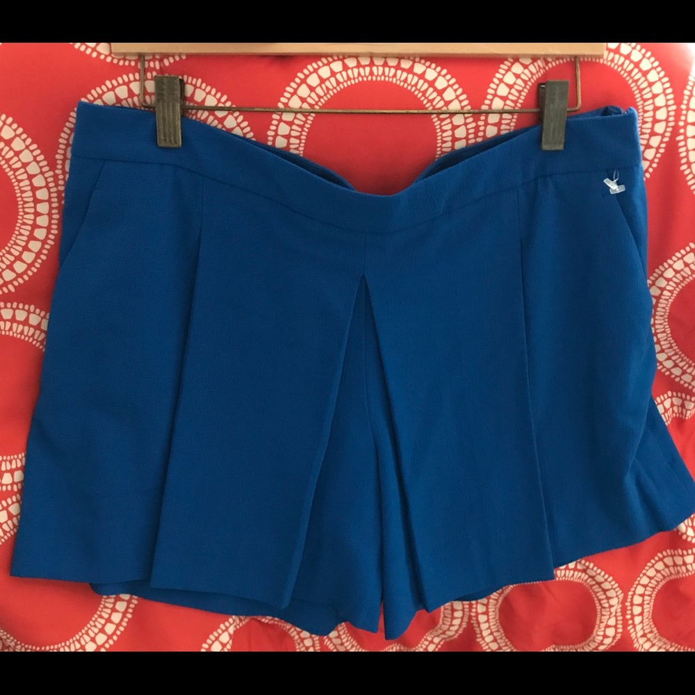 The Limited Blue pleated shorts.