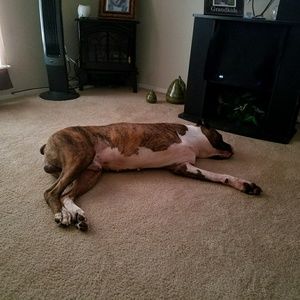 Meet your Posher, Rick