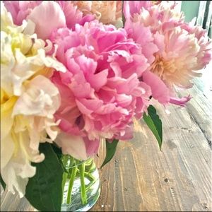 Meet your Posher, Judith