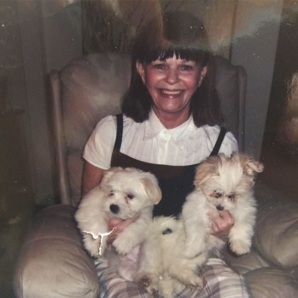 Meet your Posher, Nancy bradley