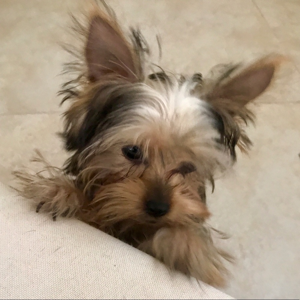 Meet your Posher, Deb