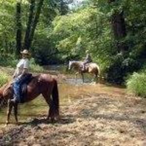 Meet your Posher, Kaye