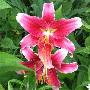 Meet your Posher, Yvonne