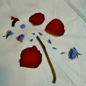 Meet your Posher, Kimberlee