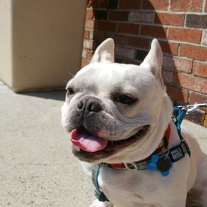 Meet your Posher, Samantha