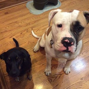 Meet your Posher, Sandra