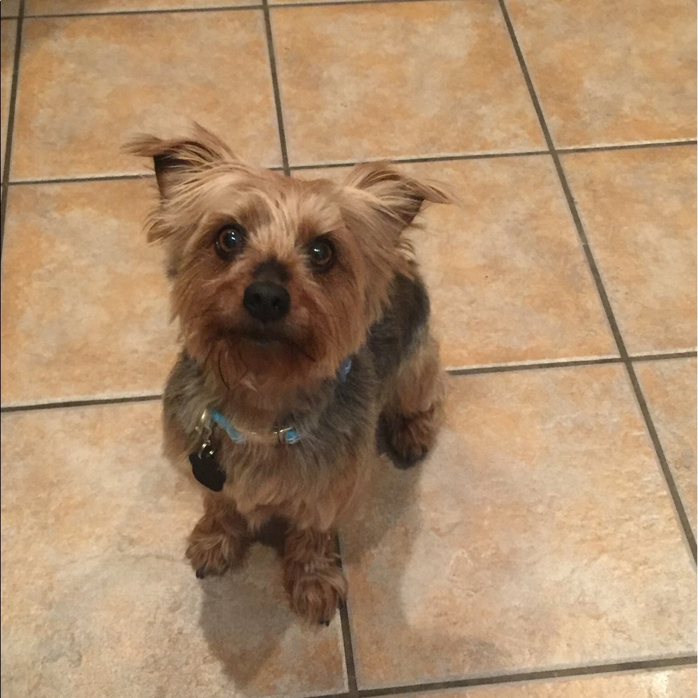 Meet your Posher, Kylie