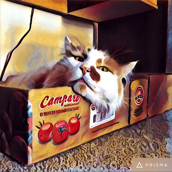 HELLO! - Picture 3 of 4