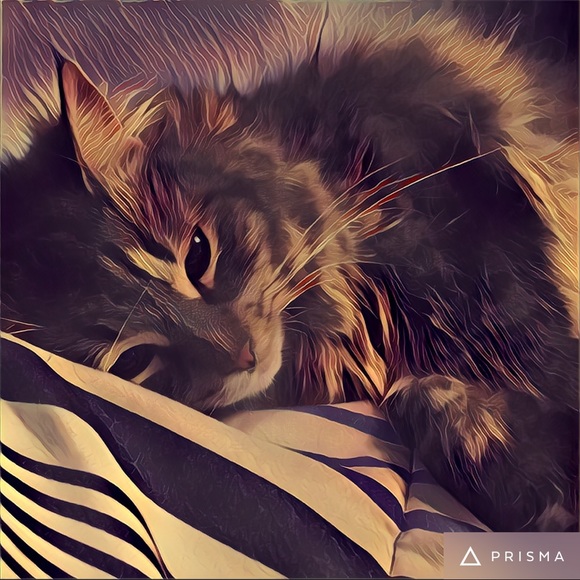 HELLO! - Picture 4 of 4