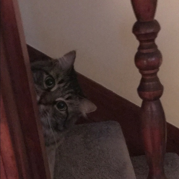 HELLO! - Picture 2 of 4