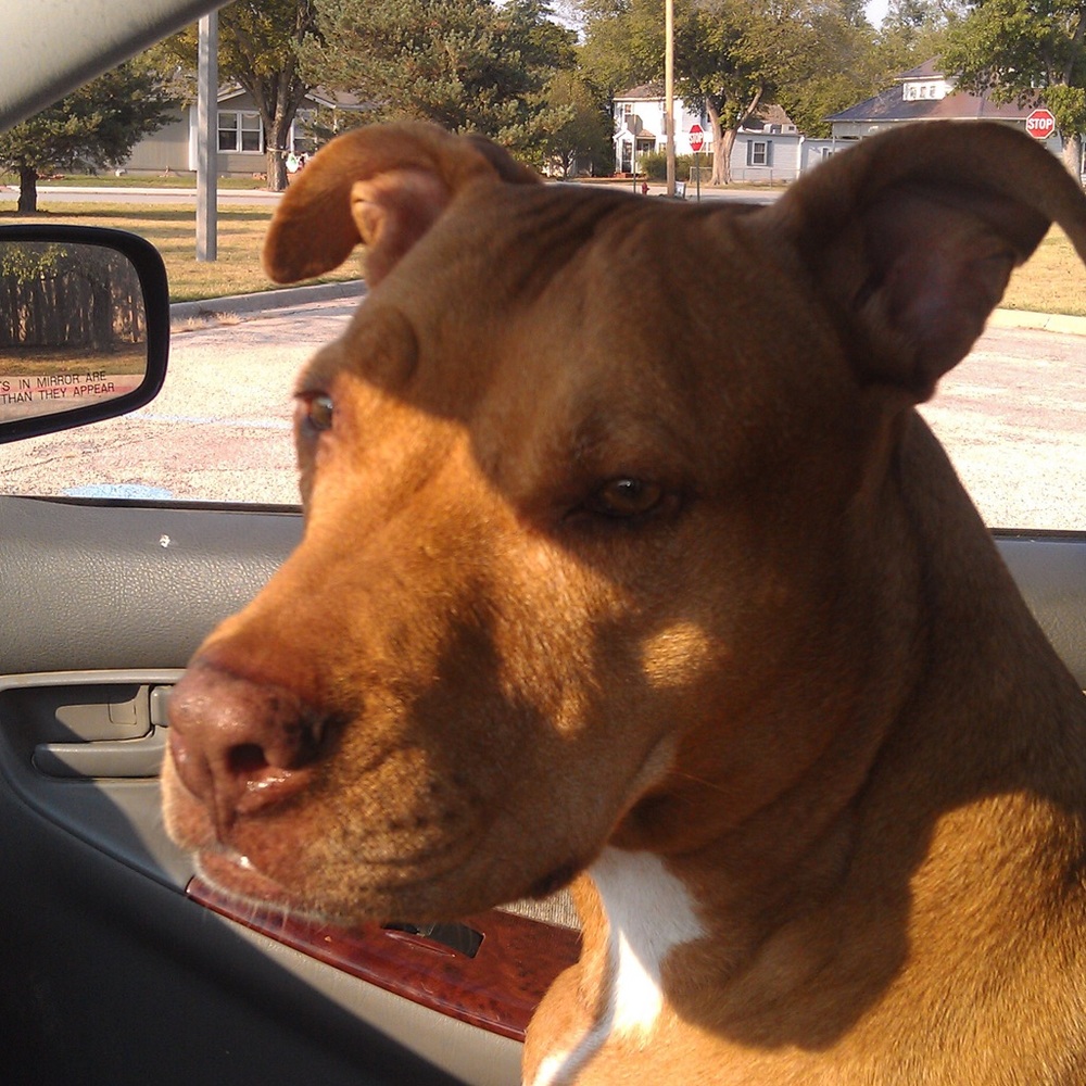 Meet your Posher, Wanda