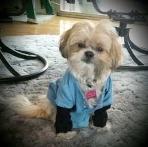 Meet your Posher, Mary