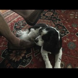 Meet your Posher, Lynn