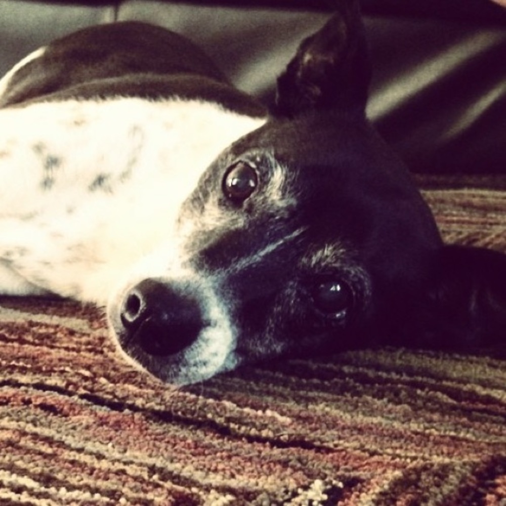 Meet your Posher, Susan