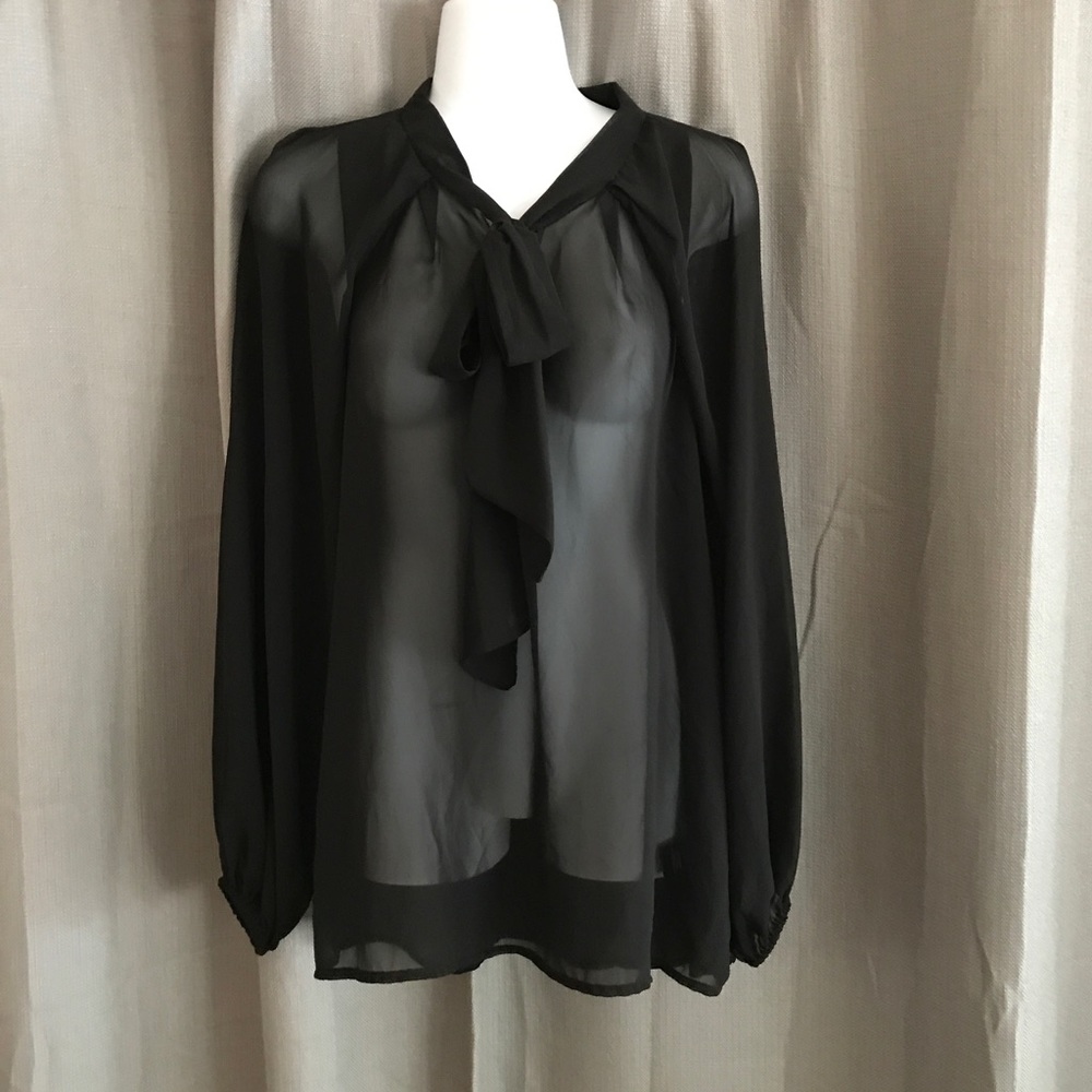 Chic chiffon long sleeve blouse.