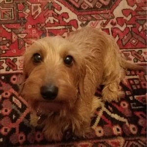 Meet your Posher, Kate