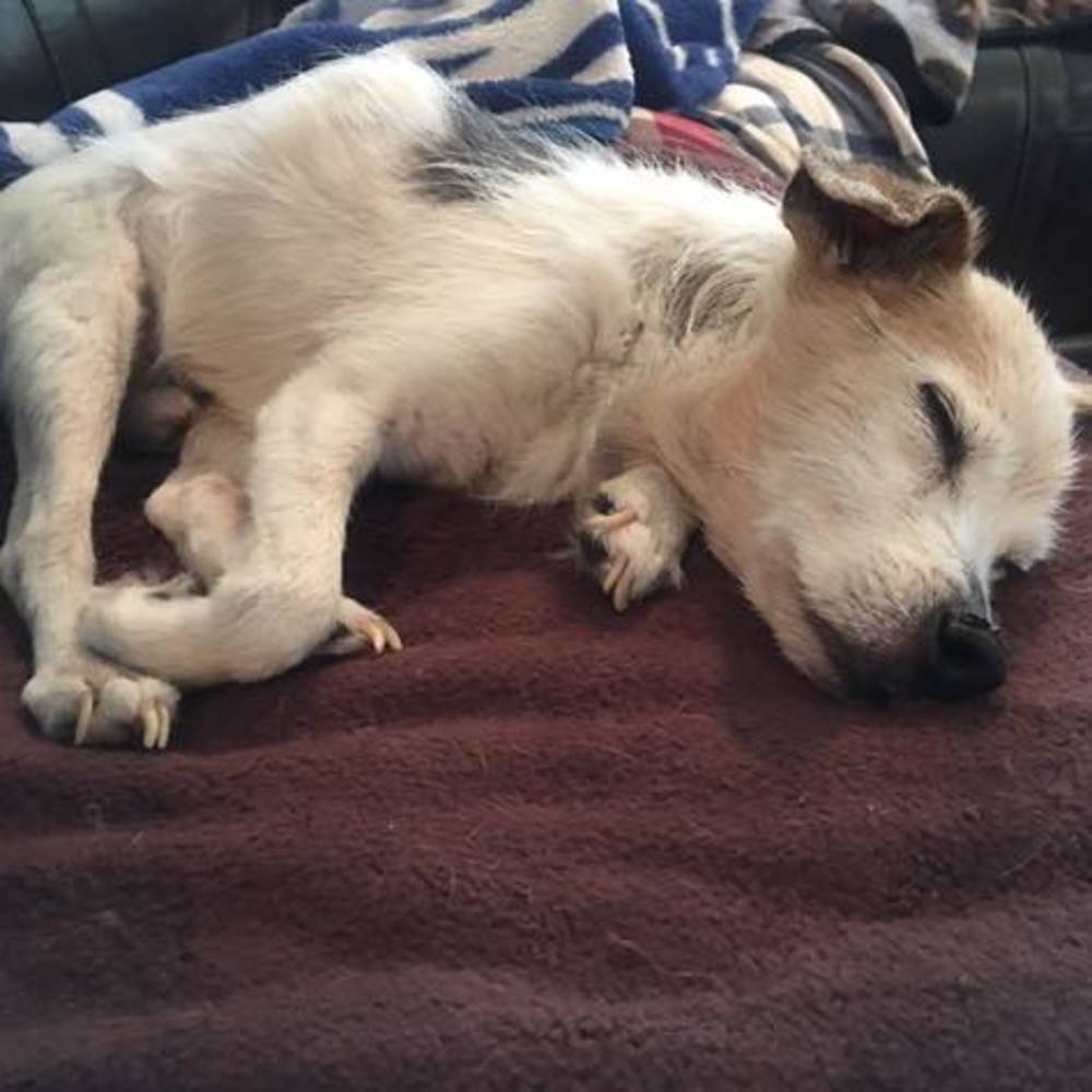 Meet your Posher, Shannon