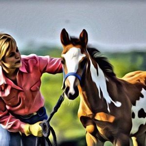 Meet your Posher, Cyndee