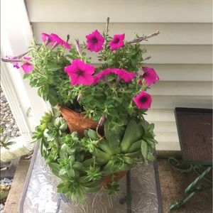 Meet your Posher, Carol