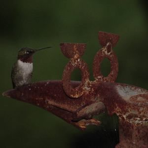 Meet your Posher, Susan