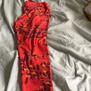 Lularoe leggings