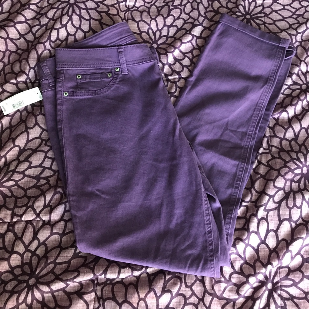 Bongo brand NWT purple juniors pants.