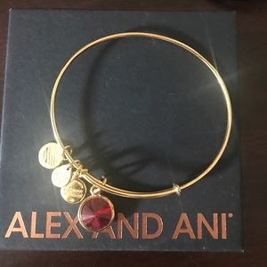 Alex and Ani January's birth month stone