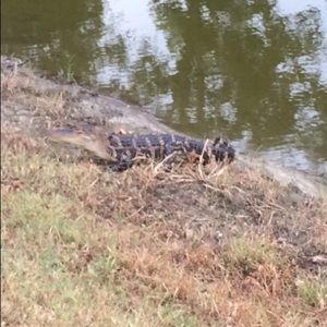 Meet your Posher, Jake