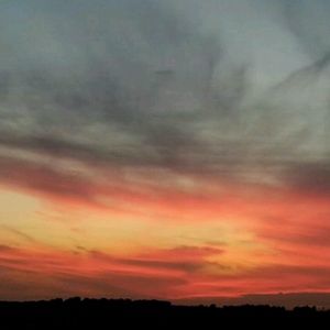 Meet your Posher, Chloe