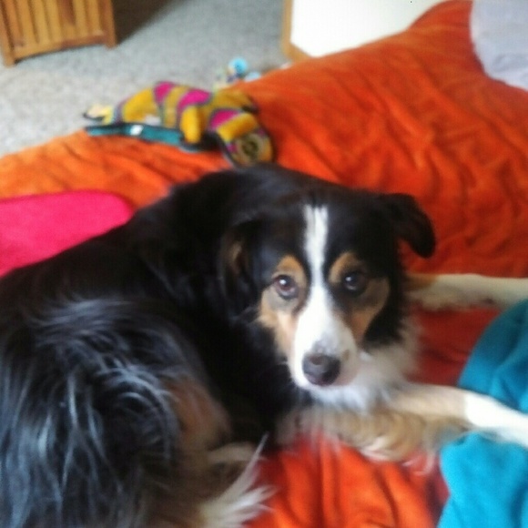 Meet the Staff.... - Picture 2 of 7