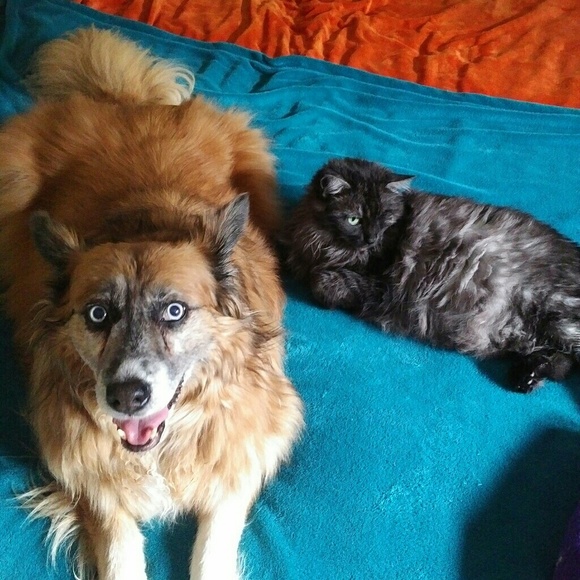 Meet the Staff.... - Picture 3 of 7