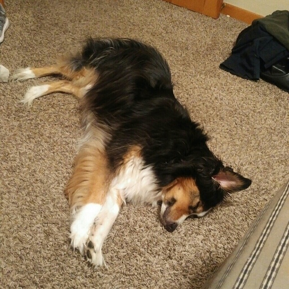 Meet the Staff.... - Picture 4 of 7