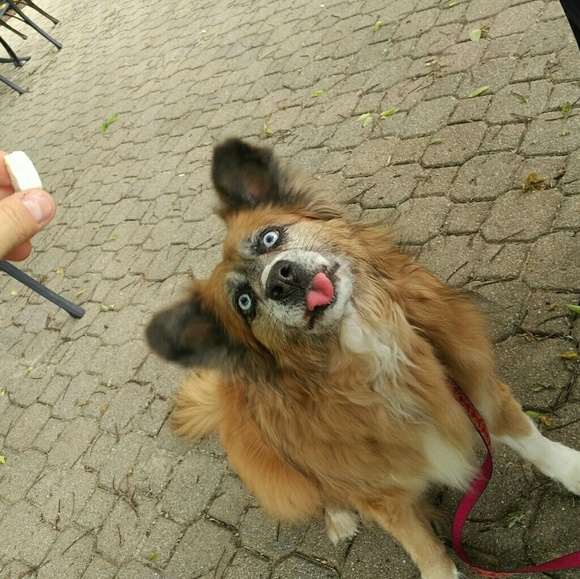 Meet the Staff.... - Picture 5 of 7