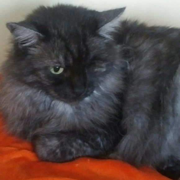 Meet the Staff.... - Picture 6 of 7