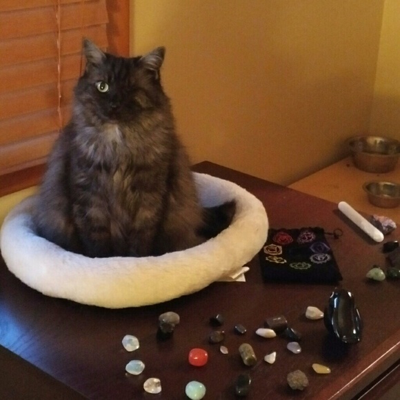 Meet the Staff.... - Picture 7 of 7