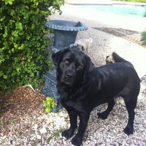 Meet your Posher, Ted