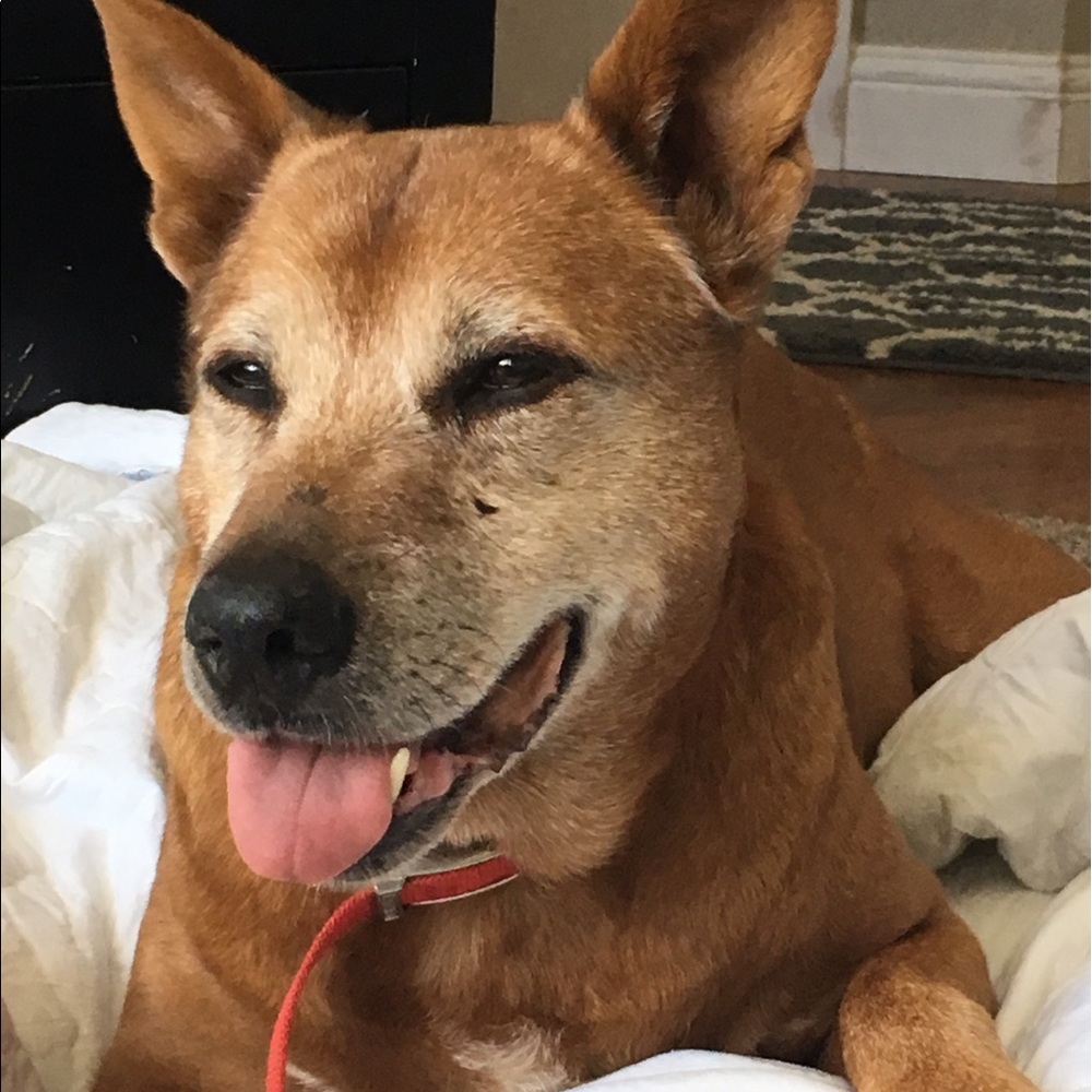 Meet your Posher, Kecia