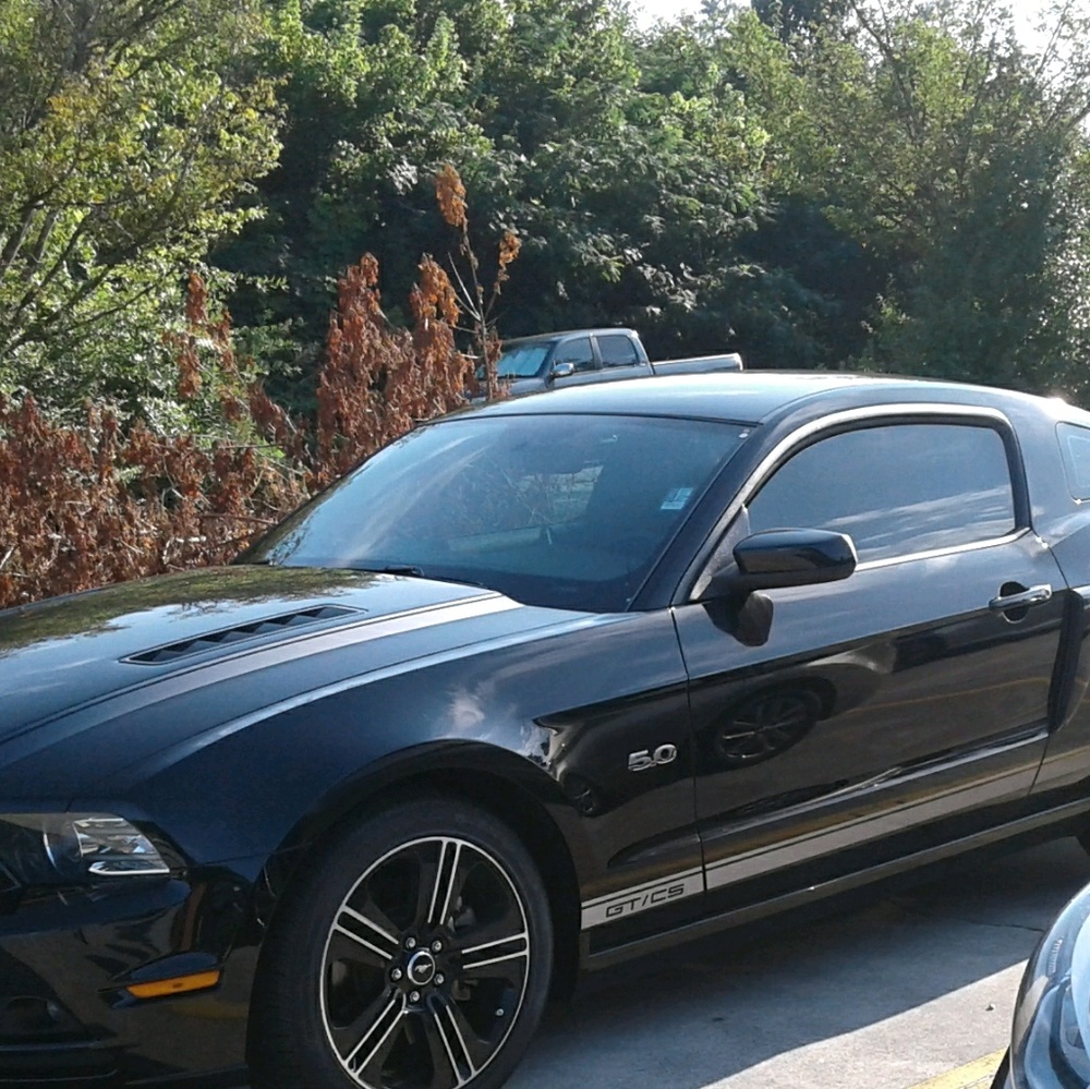 Meet your Posher, Shawn