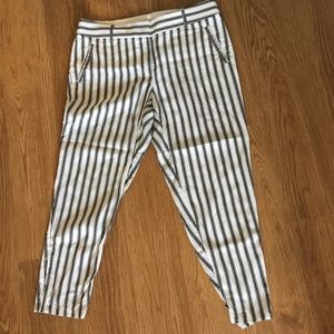 Ann Taylor Loft Pants with Zipper Detail
