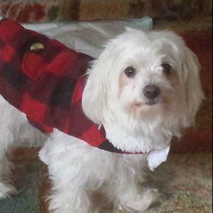 Meet your Posher, Cathryn