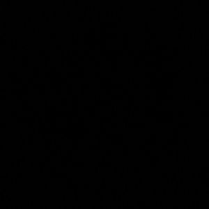 Meet your Posher, Dorthea