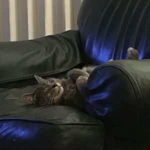 Meet your Posher, Jan