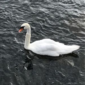 Meet your Posher, Robert