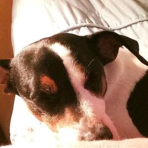 Meet your Posher, Doug