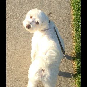 Meet your Posher, Dave