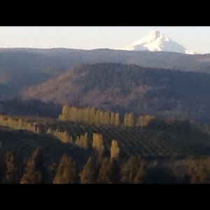 Meet your Posher, Jan