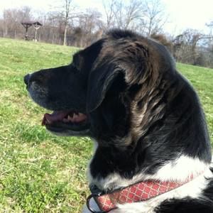 Meet your Posher, Sonja