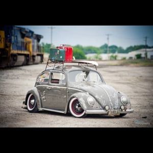 Meet your Posher, Dusty