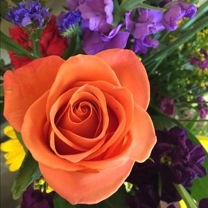 Meet your Posher, Nicole