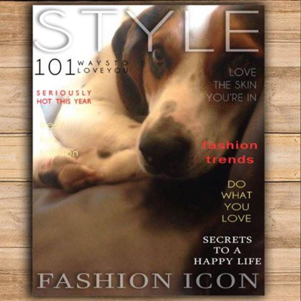 Meet your Posher, Mary